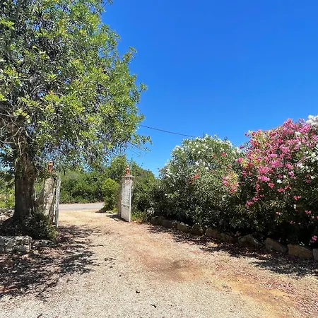 Casa Dos Avos * Faro