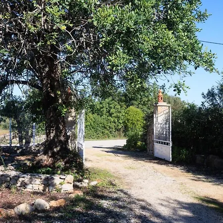 Casa Dos Avos פארו